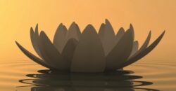 Zen-flower-lotus-on-sunset-34088472-©-dampoint.Fotolia.324